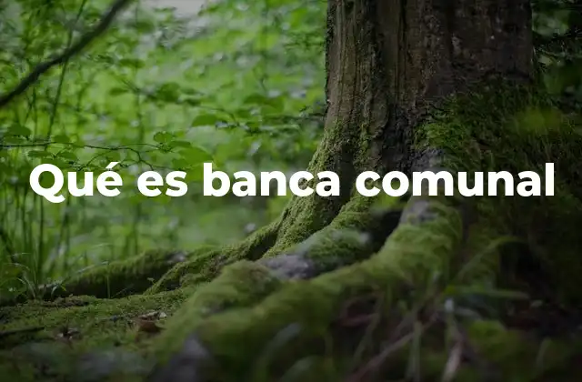 Qué es Banca Comunal