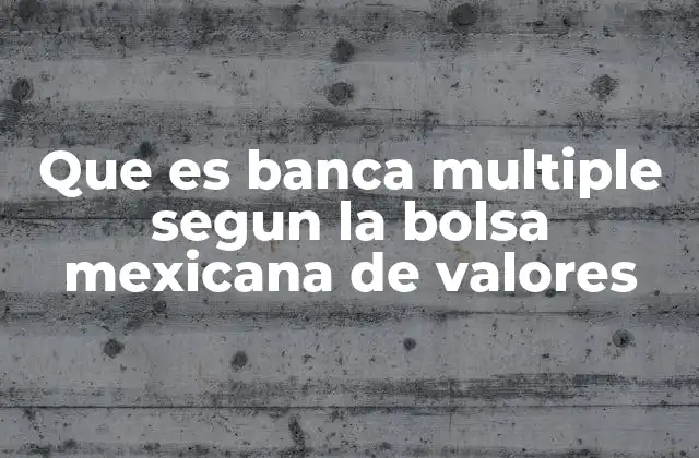 Que es Banca Multiple Segun la Bolsa Mexicana de Valores