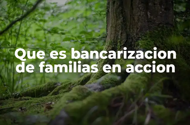 Que es Bancarizacion de Familias en Accion