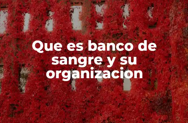 Que es Banco de Sangre y Su Organizacion