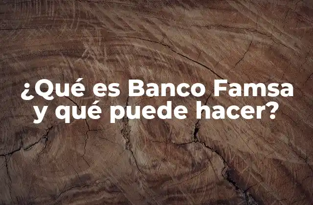 ¿qué es Banco Famsa y Qué Puede Hacer?