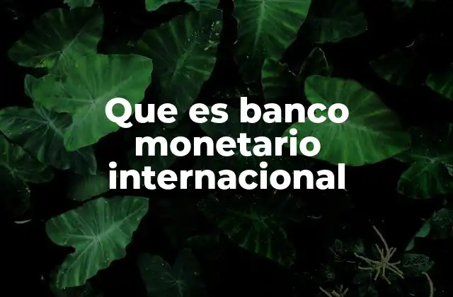 Que es Banco Monetario Internacional