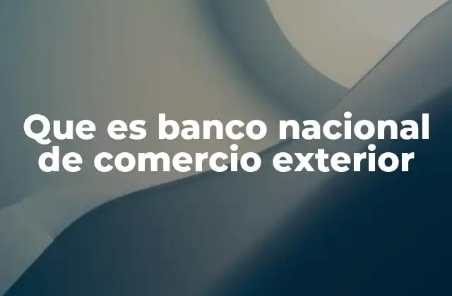 Que es Banco Nacional de Comercio Exterior