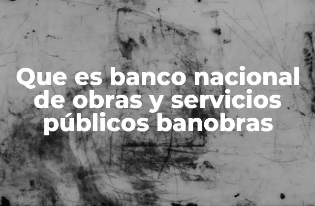 Que es Banco Nacional de Obras y Servicios Públicos Banobras
