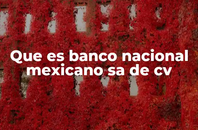 Que es Banco Nacional Mexicano Sa de Cv