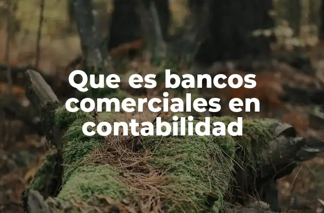 Que es Bancos Comerciales en Contabilidad