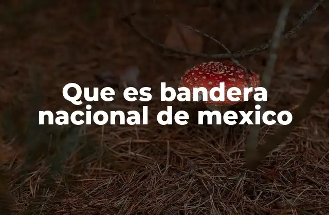 Que es Bandera Nacional de Mexico