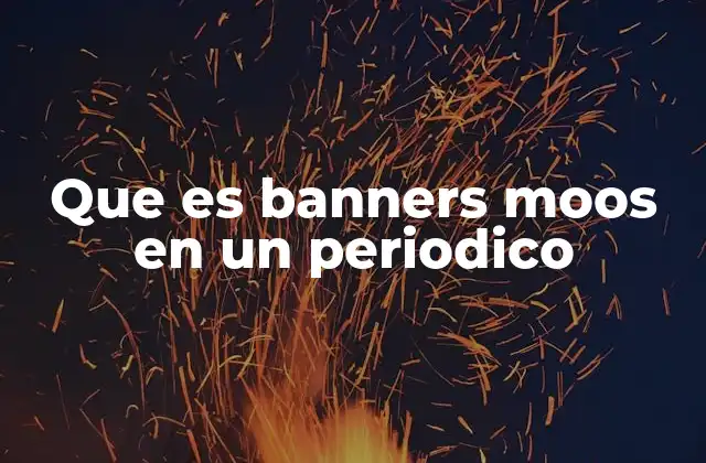 Que es Banners Moos en un Periodico