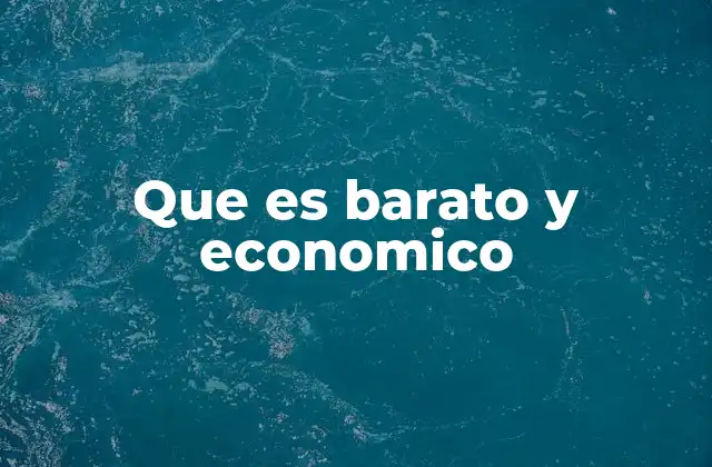 Que es Barato y Economico
