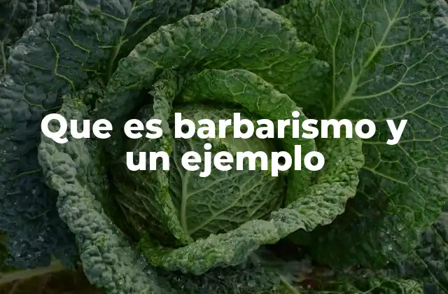 Que es Barbarismo y un Ejemplo