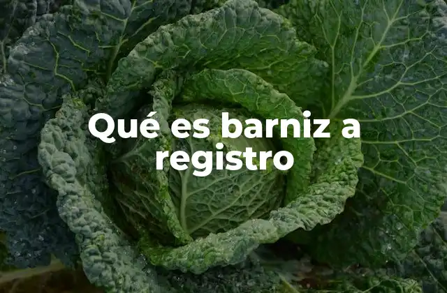 Qué es Barniz a Registro