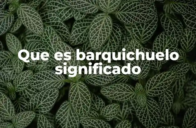 Que es Barquichuelo Significado