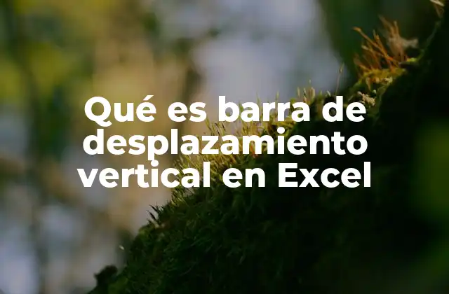 Qué es Barra de Desplazamiento Vertical en Excel