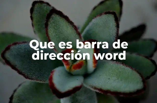 Que es Barra de Dirección Word
