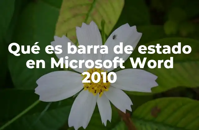 Qué es Barra de Estado en Microsoft Word 2010