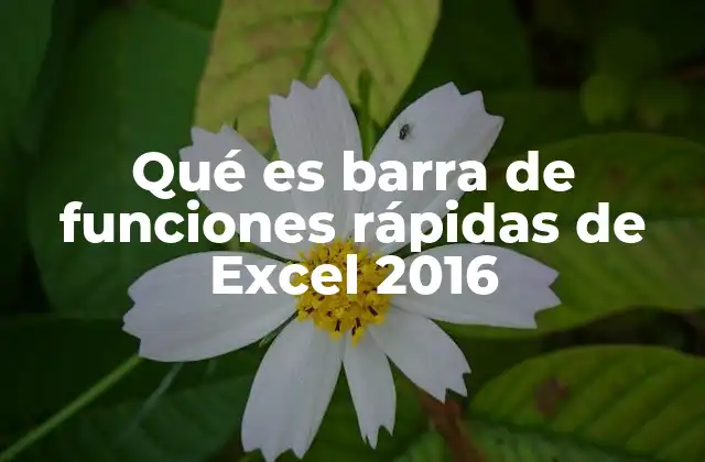 Qué es Barra de Funciones Rápidas de Excel 2016 2 Funcionalidad de la barra de acceso rápido