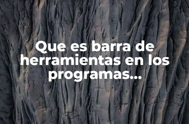 Que es Barra de Herramientas en los Programas Informaticos