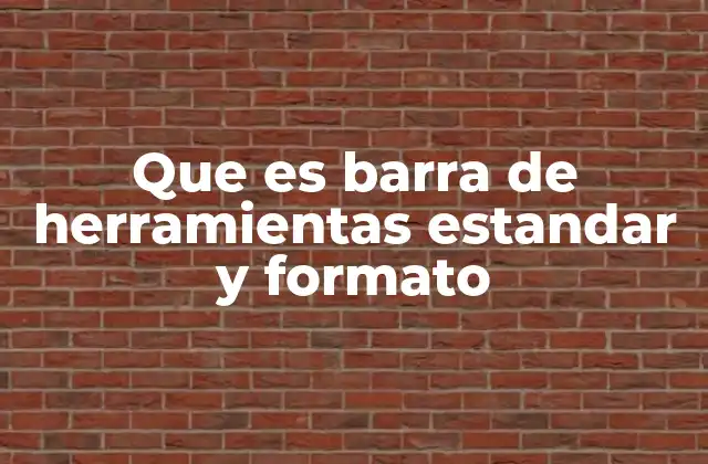 Que es Barra de Herramientas Estandar y Formato