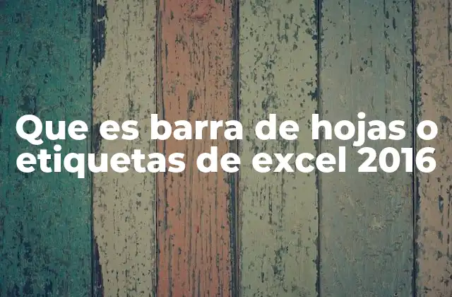 Que es Barra de Hojas o Etiquetas de Excel 2016