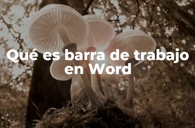 Qué es Barra de Trabajo en Word