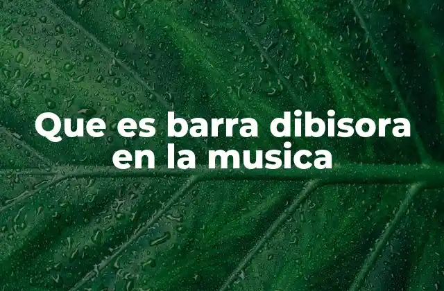 Que es Barra Dibisora en la Musica