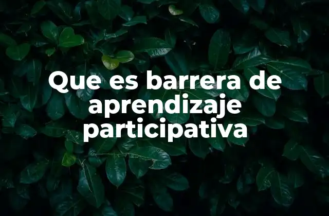 Que es Barrera de Aprendizaje Participativa