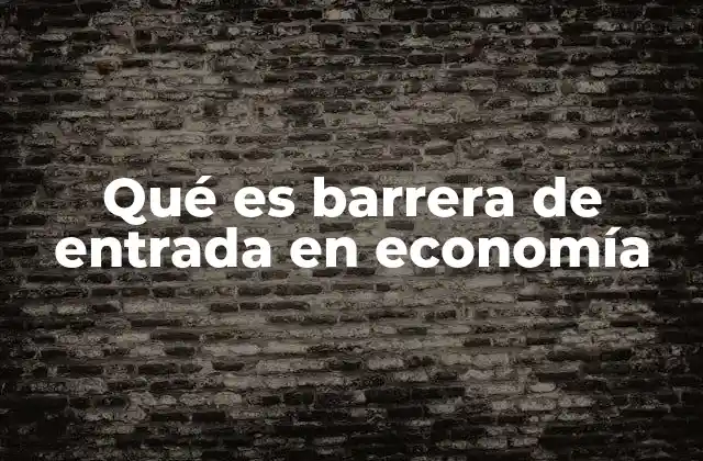 Qué es Barrera de Entrada en Economía