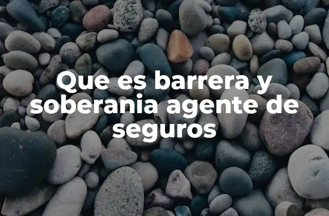 Que es Barrera y Soberania Agente de Seguros