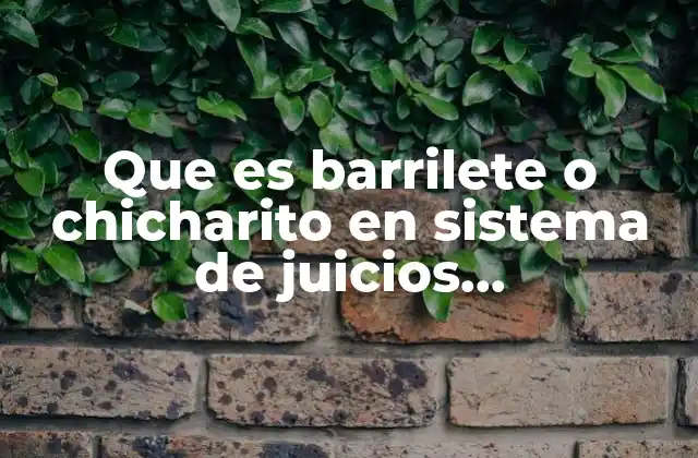 Que es Barrilete o Chicharito en Sistema de Juicios Contemporaneos