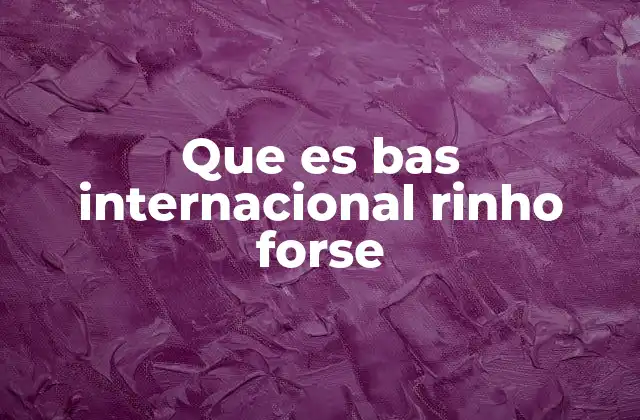 El contexto educativo de BAS Internacionales Rinho Forse