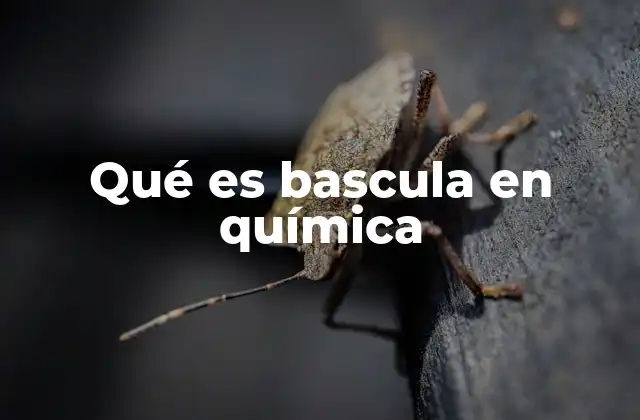 Qué es Bascula en Química