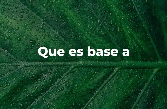 Que es Base a
