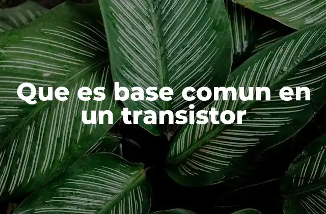 Que es Base Comun en un Transistor