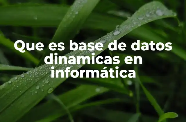 Que es Base de Datos Dinamicas en Informática