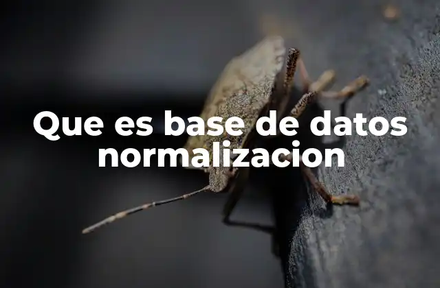 Que es Base de Datos Normalizacion