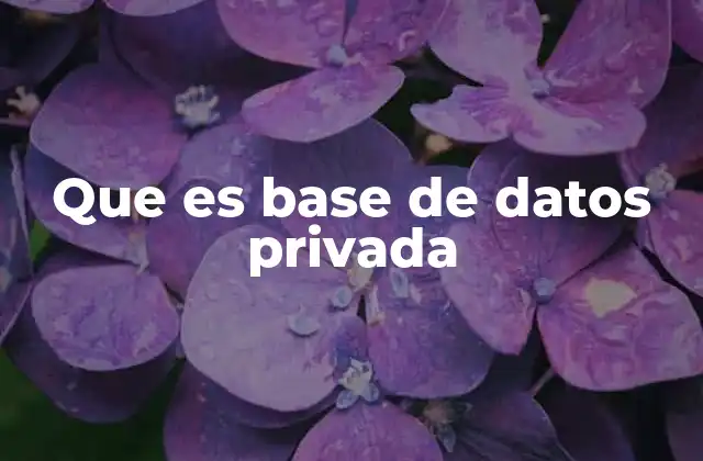 Que es Base de Datos Privada