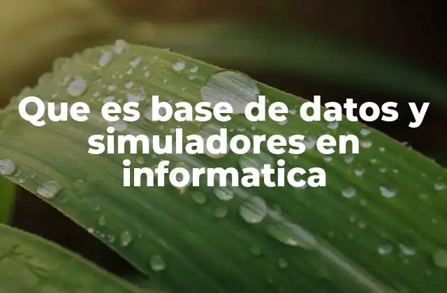 Que es Base de Datos y Simuladores en Informatica