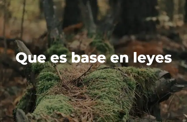 Que es Base en Leyes