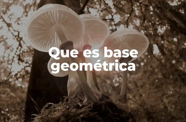 Que es Base Geométrica