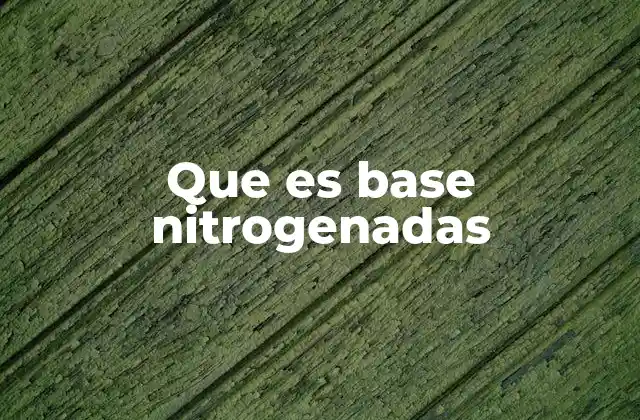 Que es Base Nitrogenadas 2 La importancia de las bases nitrogenadas en la molécula de ADN