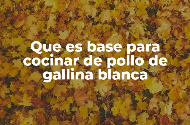 Que es Base para Cocinar de Pollo de Gallina Blanca