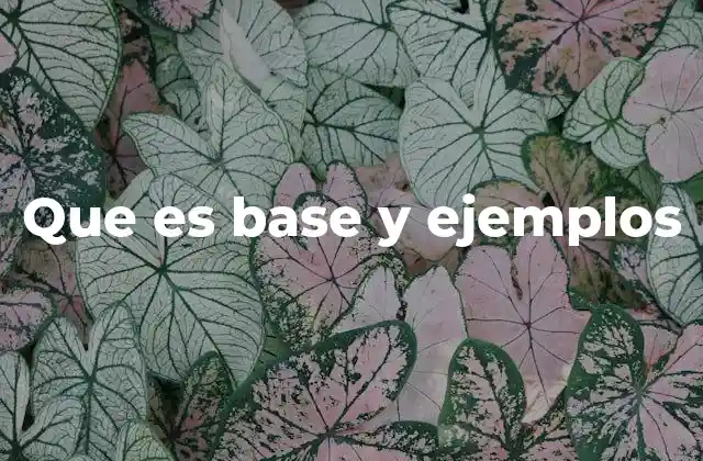 Que es Base y Ejemplos