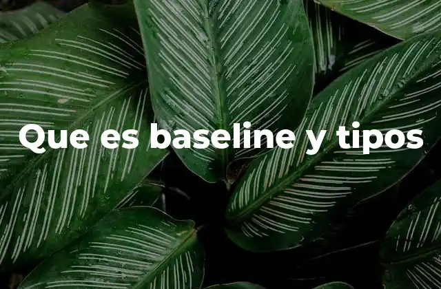 Que es Baseline y Tipos
