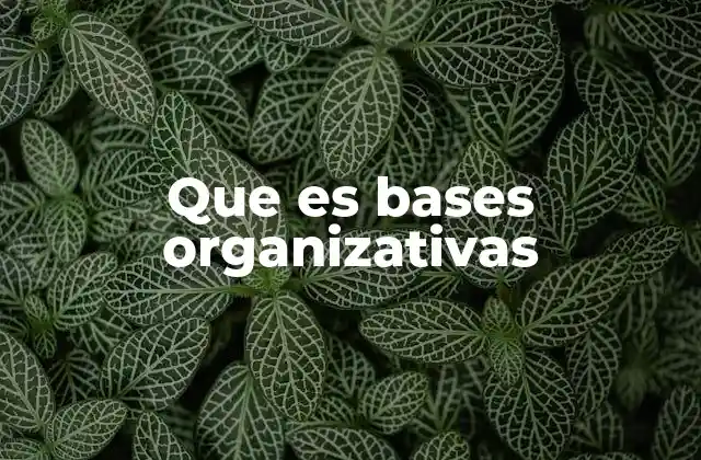 Que es Bases Organizativas