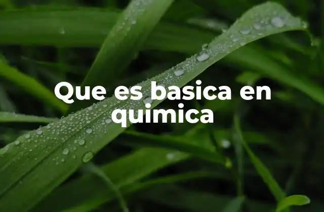 Que es Basica en Quimica