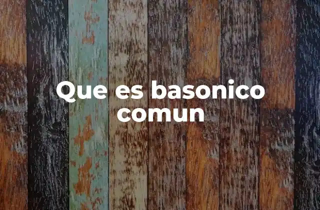 La importancia del básico común en la equidad educativa