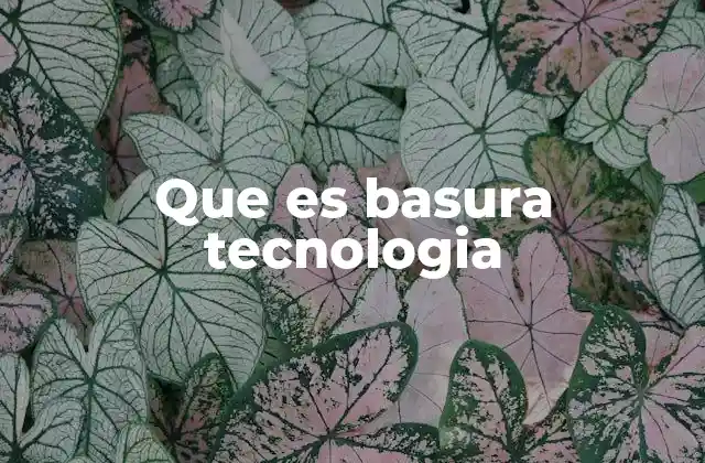 Que es Basura Tecnologia