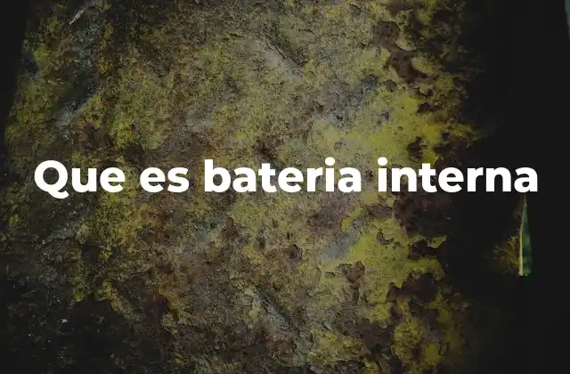 Que es Bateria Interna