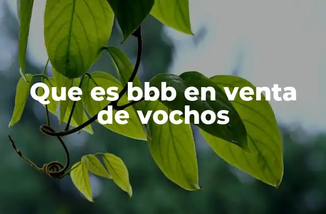 Que es Bbb en Venta de Vochos
