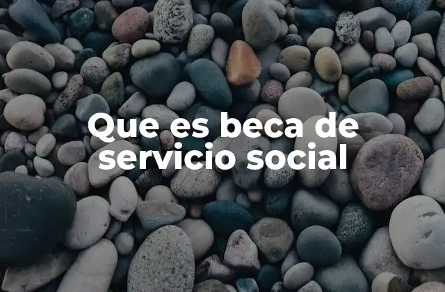 Que es Beca de Servicio Social